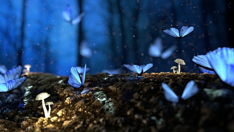 Magical Habitat