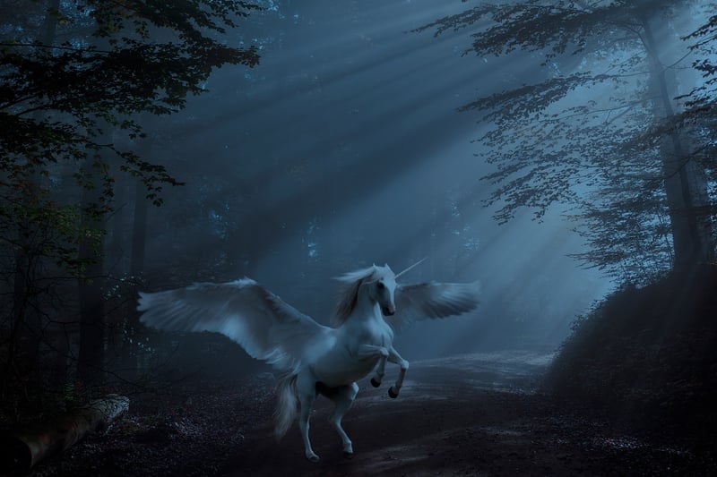 Unicorn Pasture